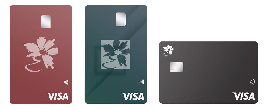 Visa Platinum Designs credit card from Educators Credit Union