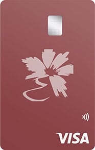 Visa Platinum credit card from Educators Credit Union